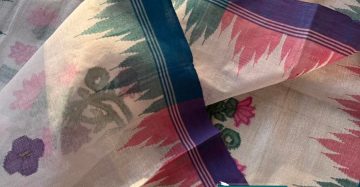সাদা আর শ্যাডেড গোলাপি মৈরাং পাড়ের টিউলিপ